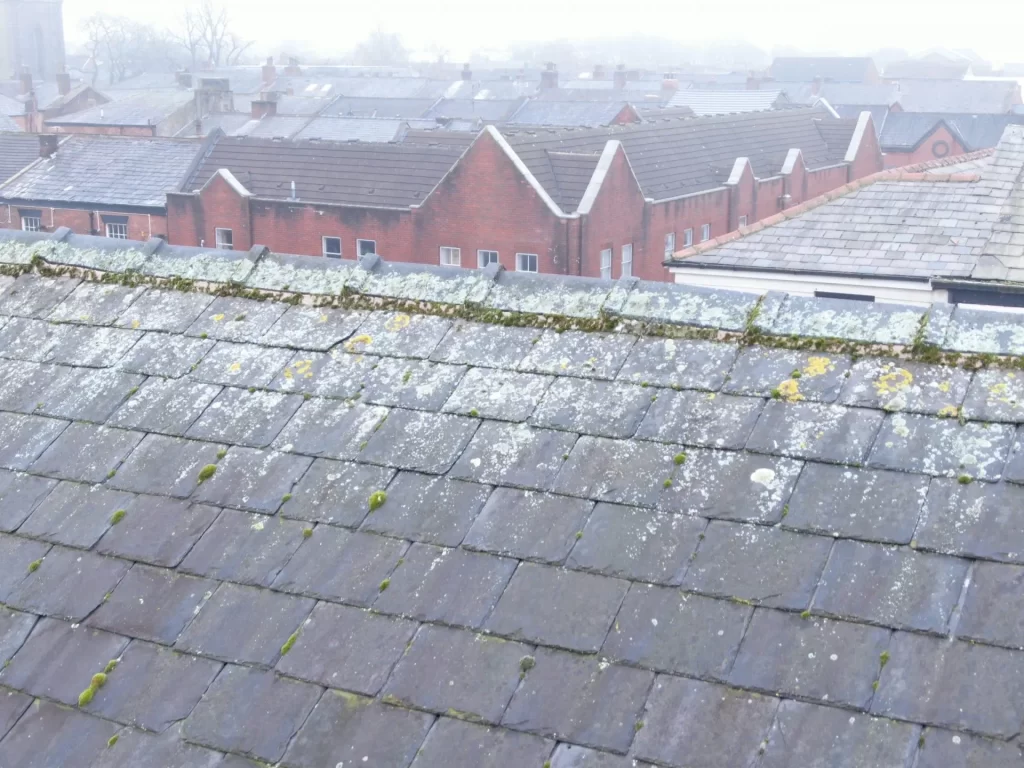 Domestic roof survey using a drone