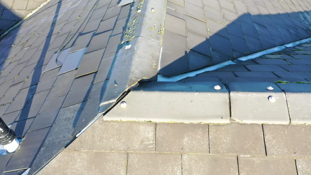 Domestic roof inspection with a drone