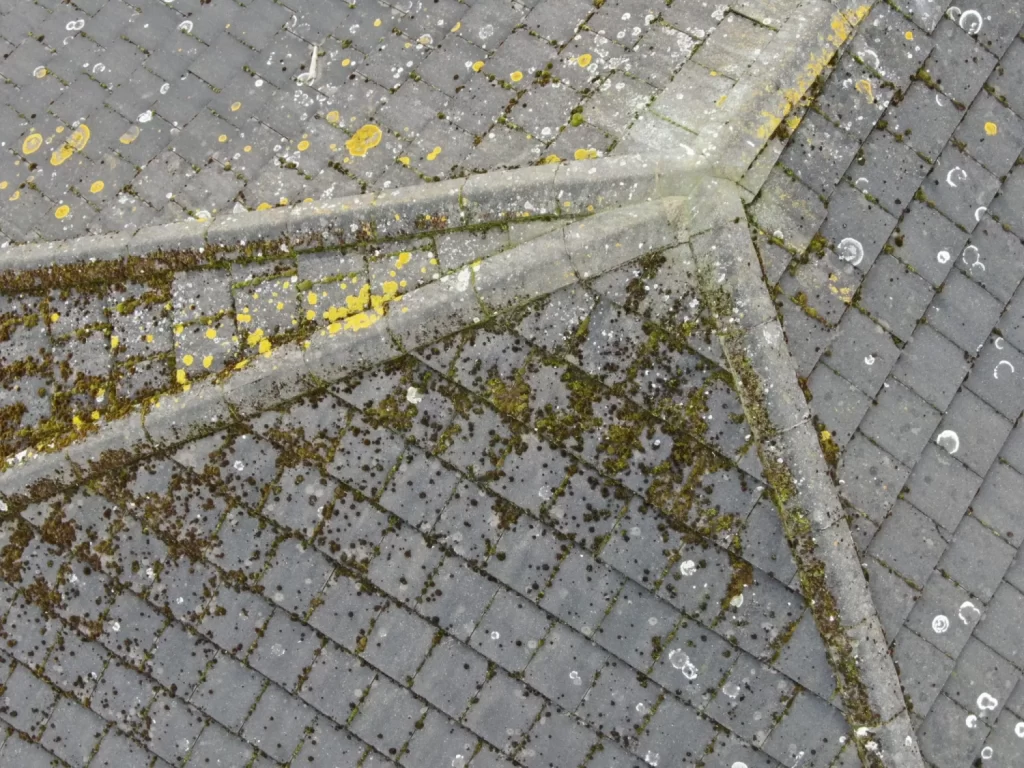 Aerial overview of a tiled roof
