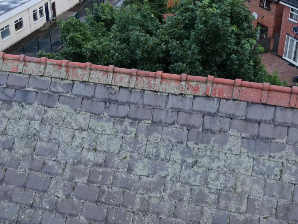 Domestic roof survey with a drone