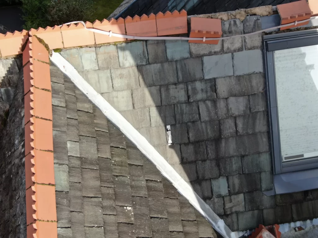 Domestic roof and rooflight drone survey